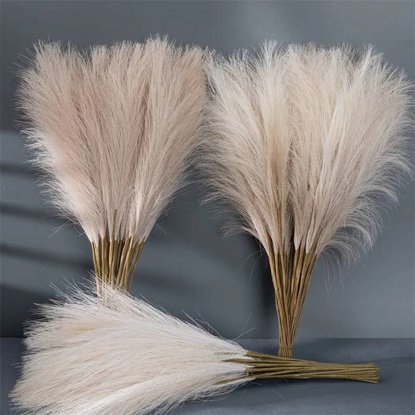 Boho Bliss: Fluffy Pampas Grass – Effortless Elegance for Home and Events